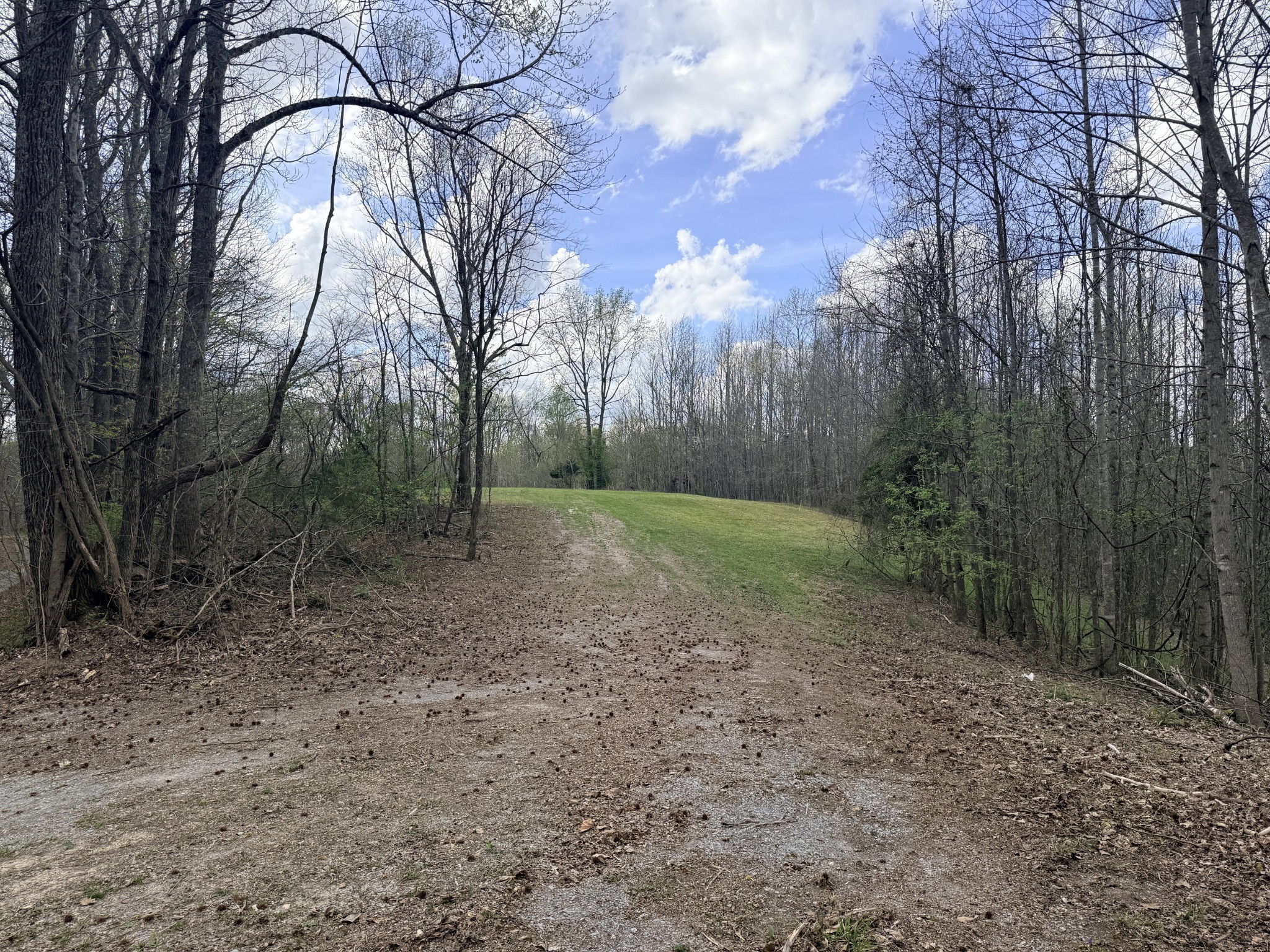 0 Sugar Tree Knob Rd Property Photo 1