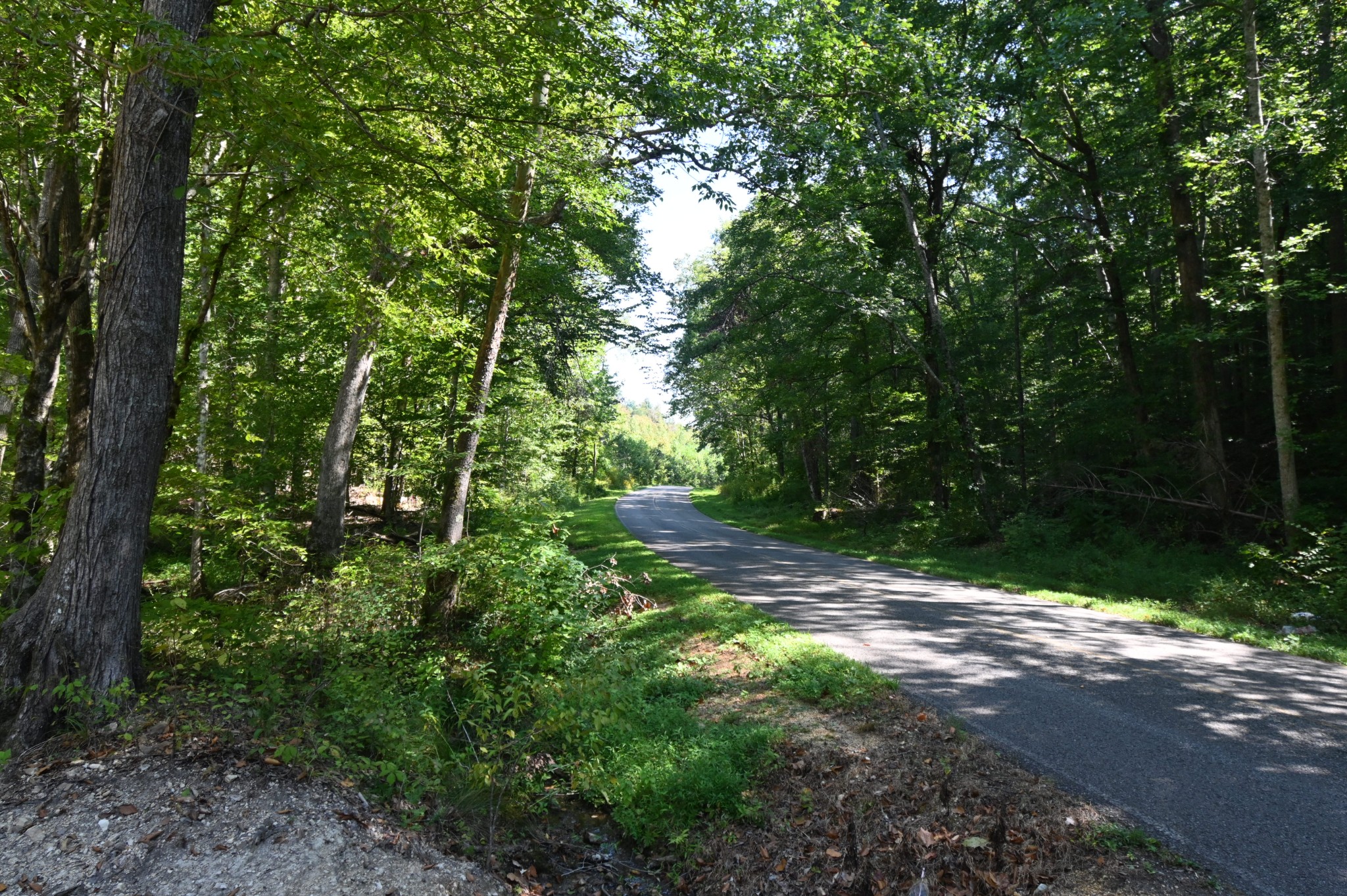 1738 Swindle Creek Rd Property Photo 1