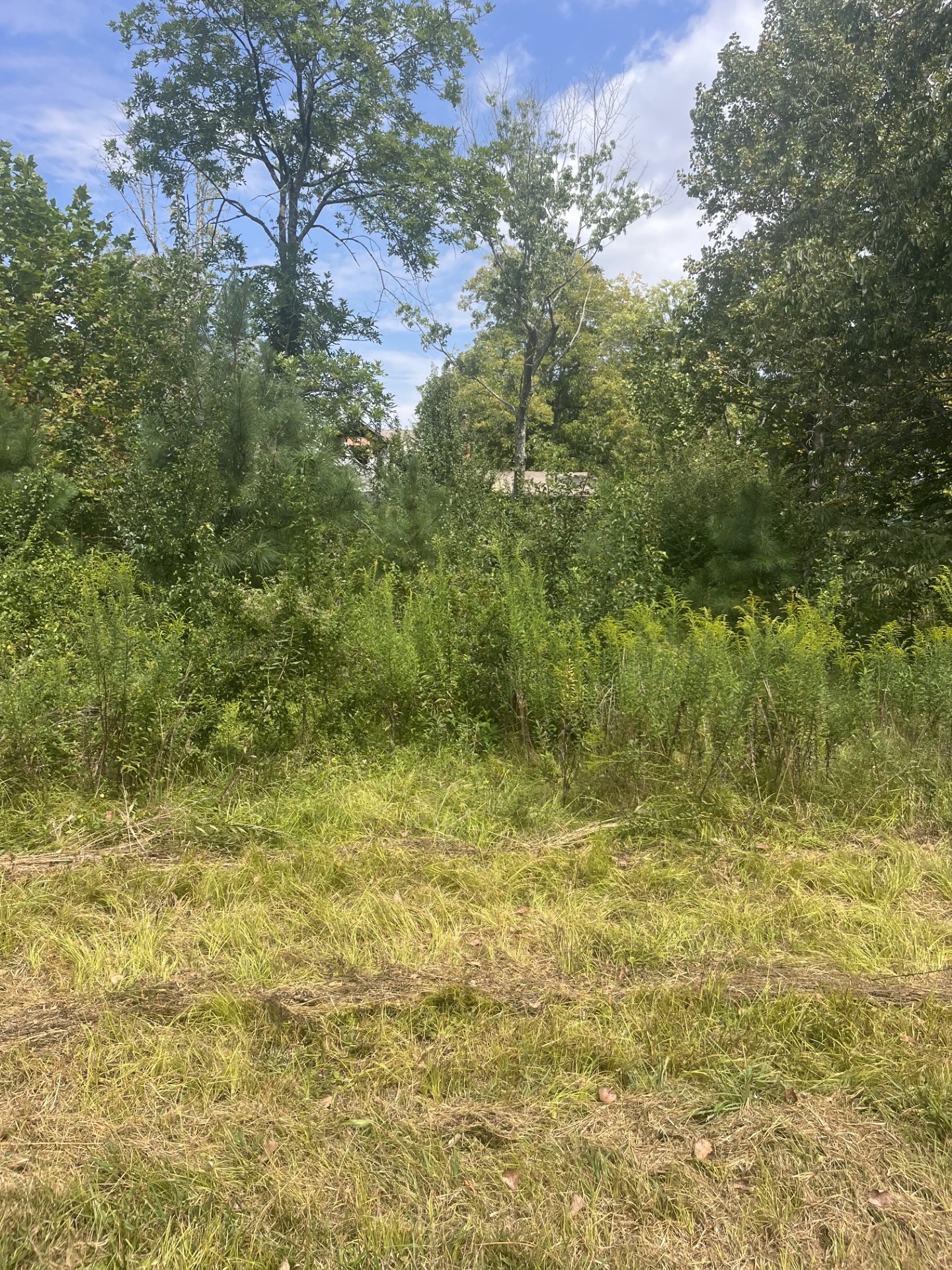2460 Prospect School Rd, Nw Property Photo 1