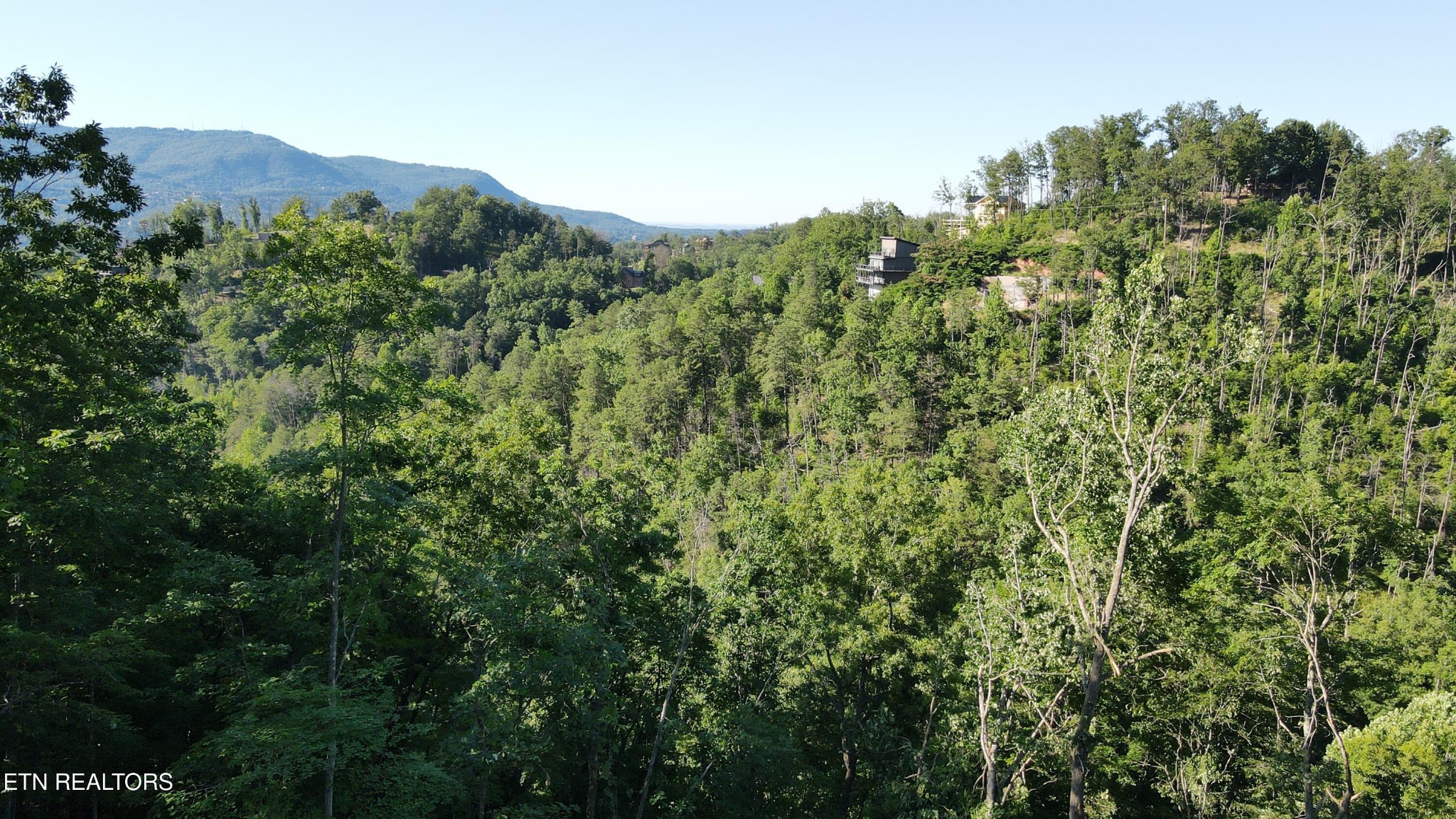 3256 Emerald Springs Loop Property Photo 7
