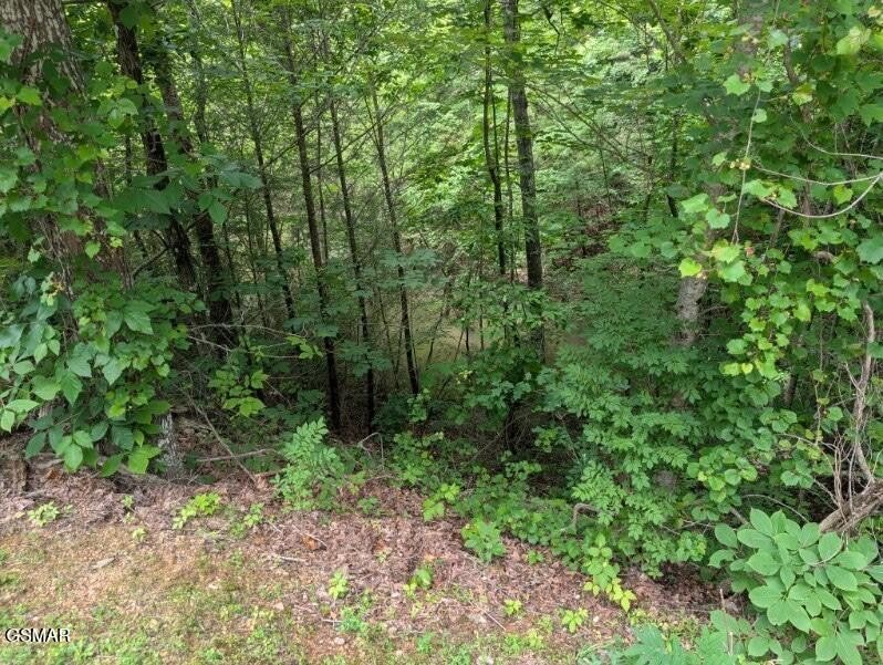 934 Ski Moutain Rd Property Photo 1