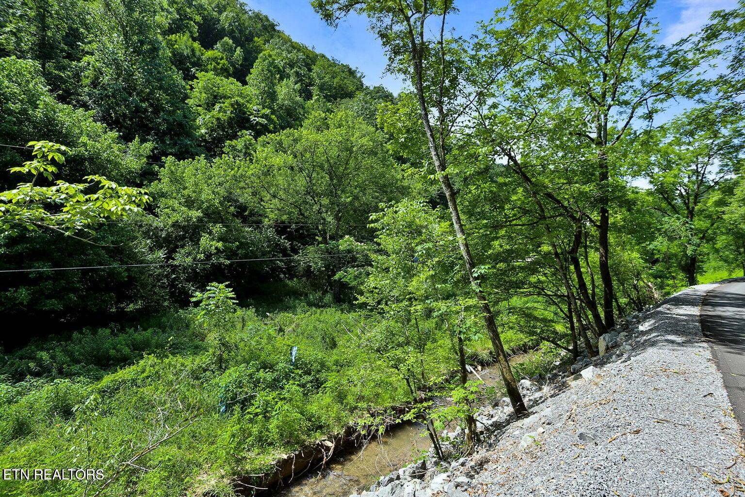 0 Caney Creek Rd Property Photo 1