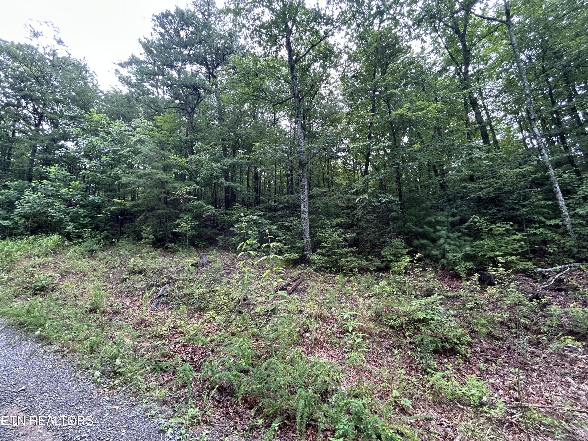 0 Black Oak Drive Property Photo 1