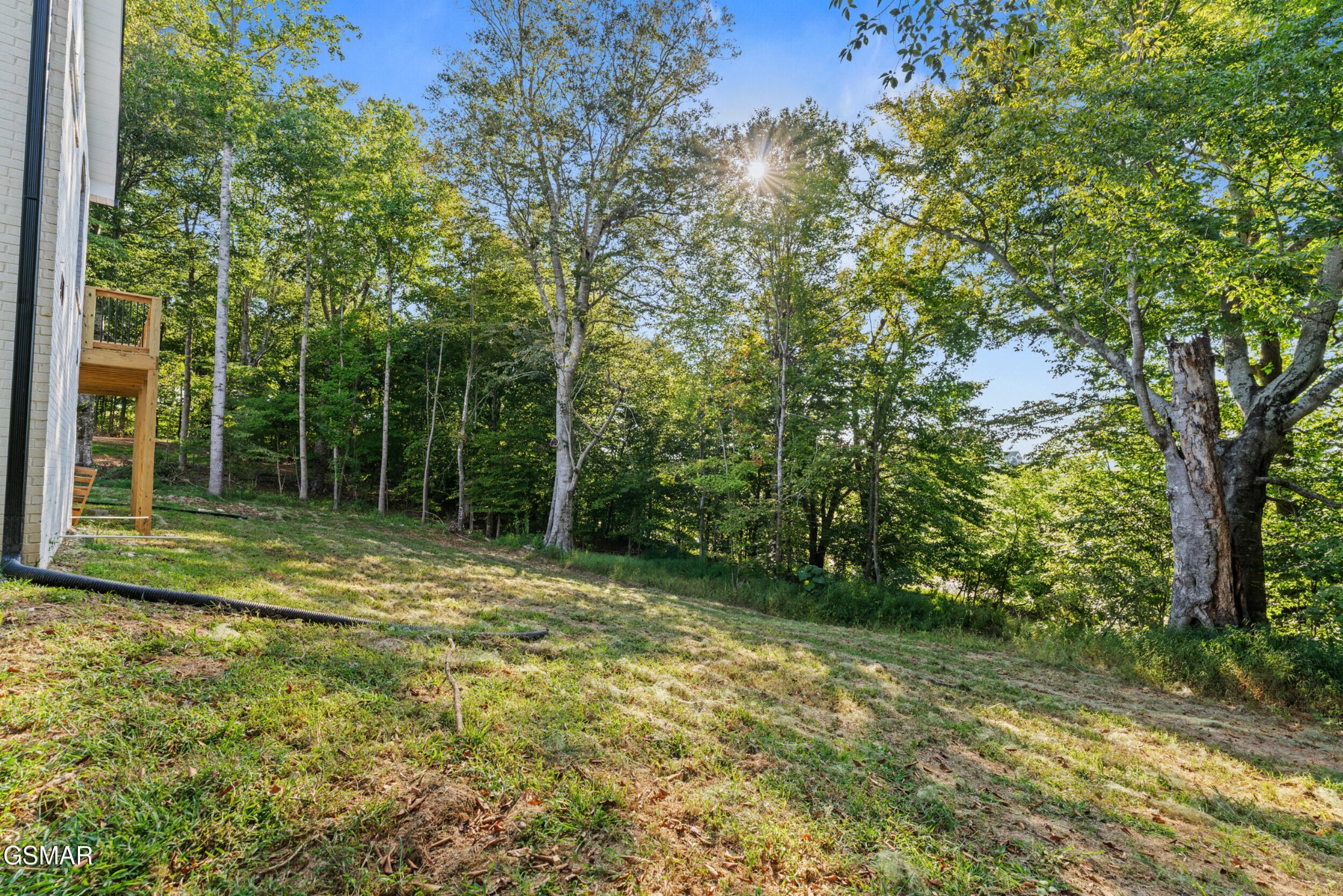 1430 Beechtop Lane Property Photo 43
