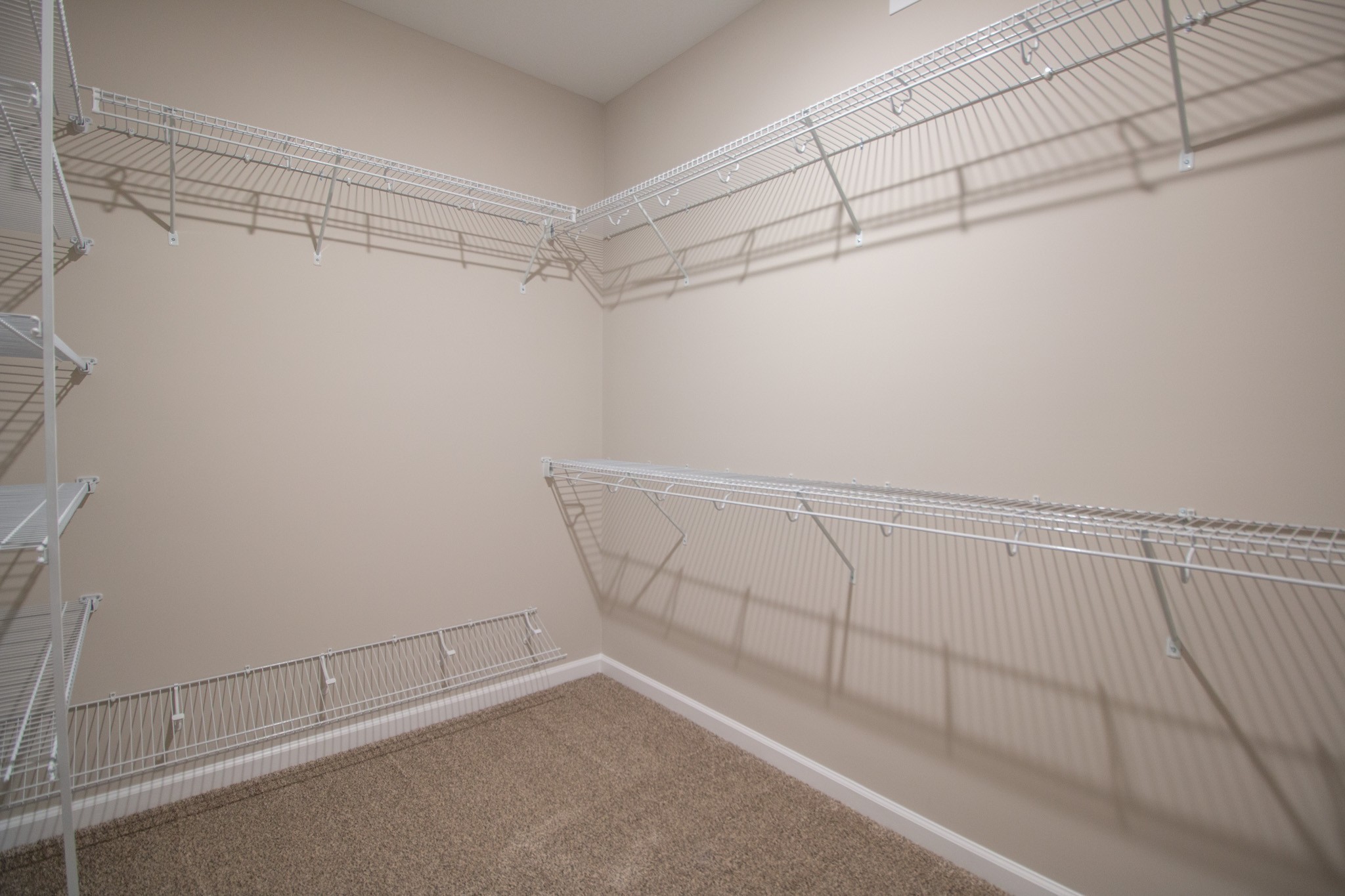252 Autumnwood Farms Property Photo 16