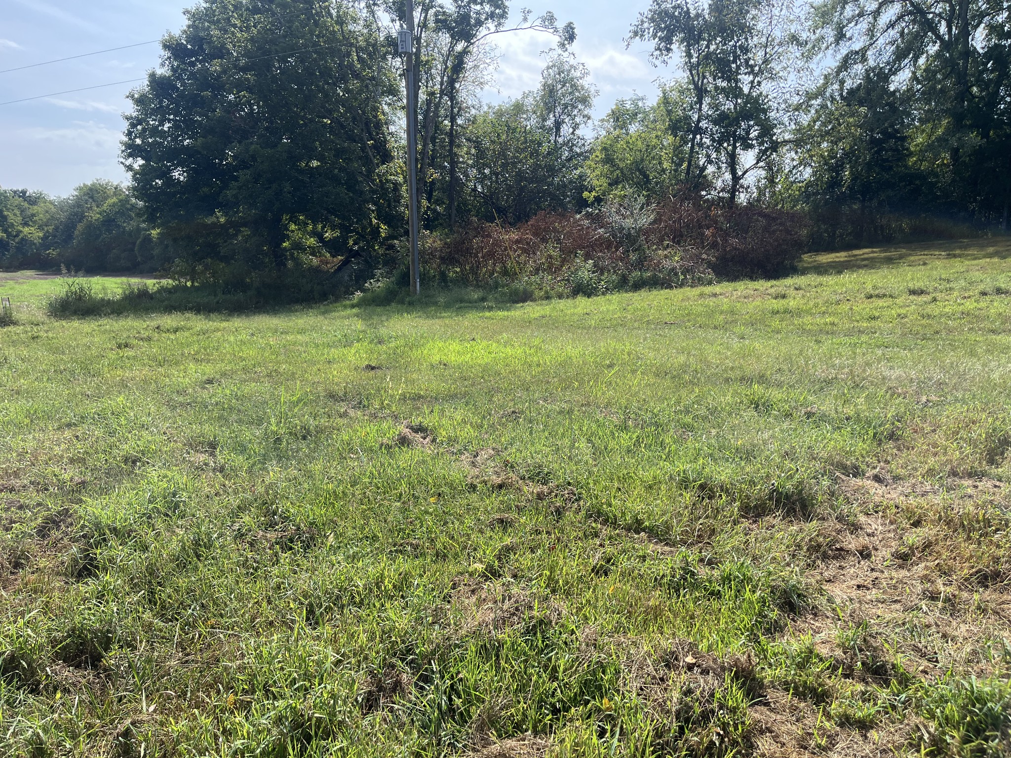 280 Ross Rd Property Photo 5