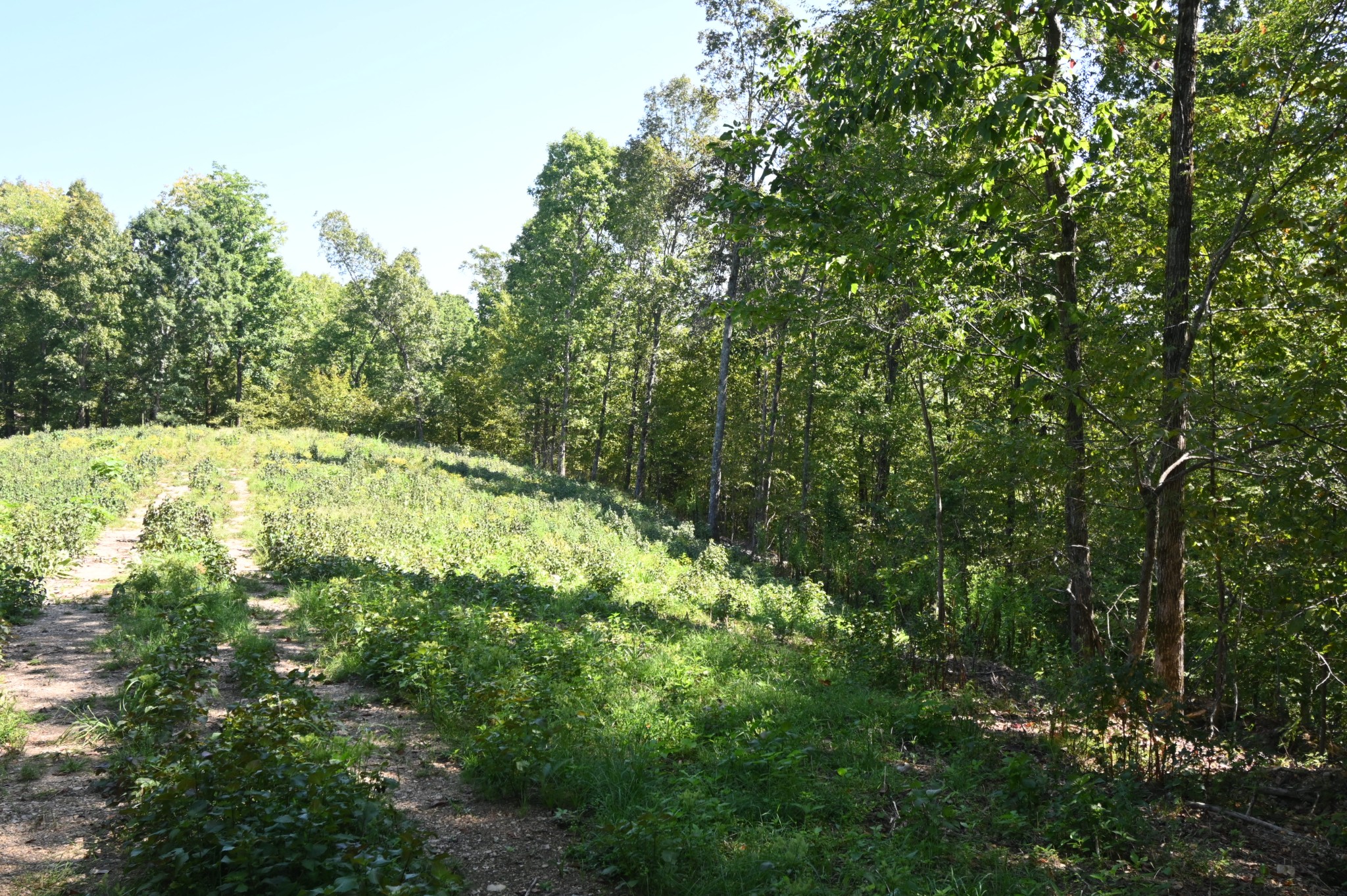 2038 Swindle Creek Rd Property Photo 1