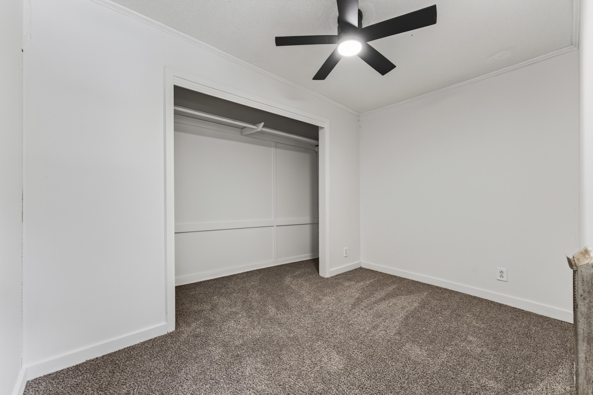 809 Forest St Property Photo 17