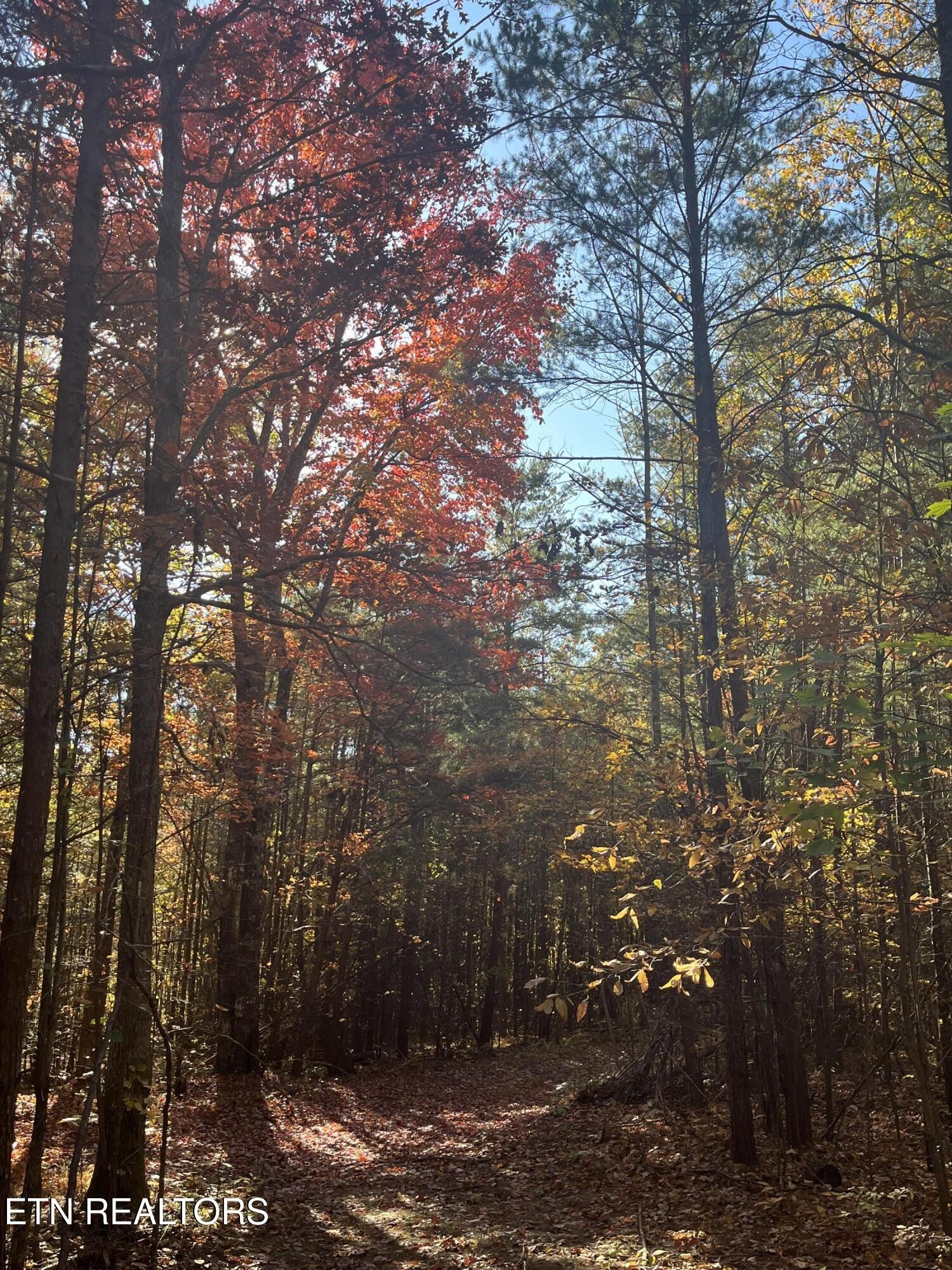 103 Cherokee Path Property Photo 15