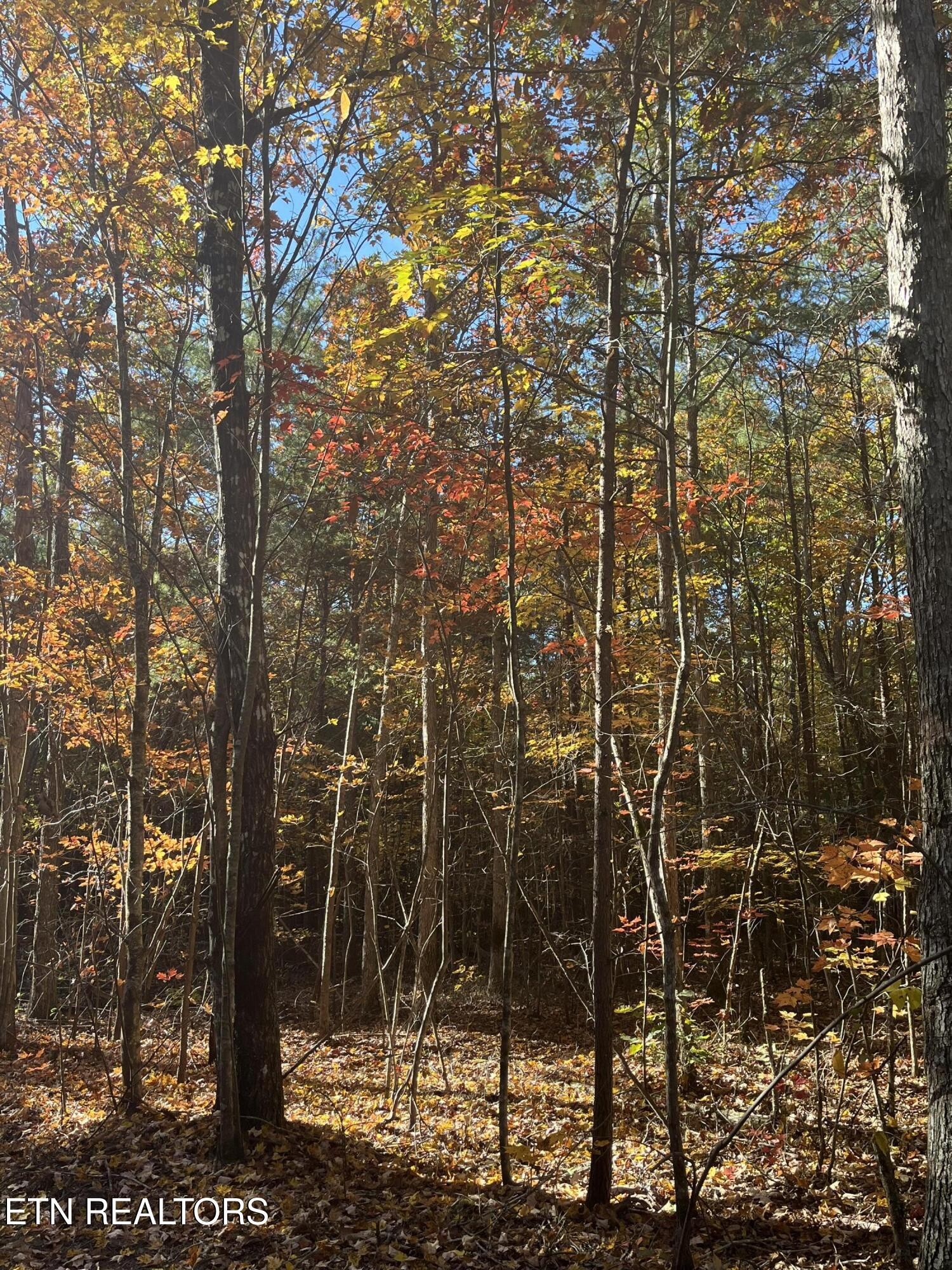 103 Cherokee Path Property Photo 17
