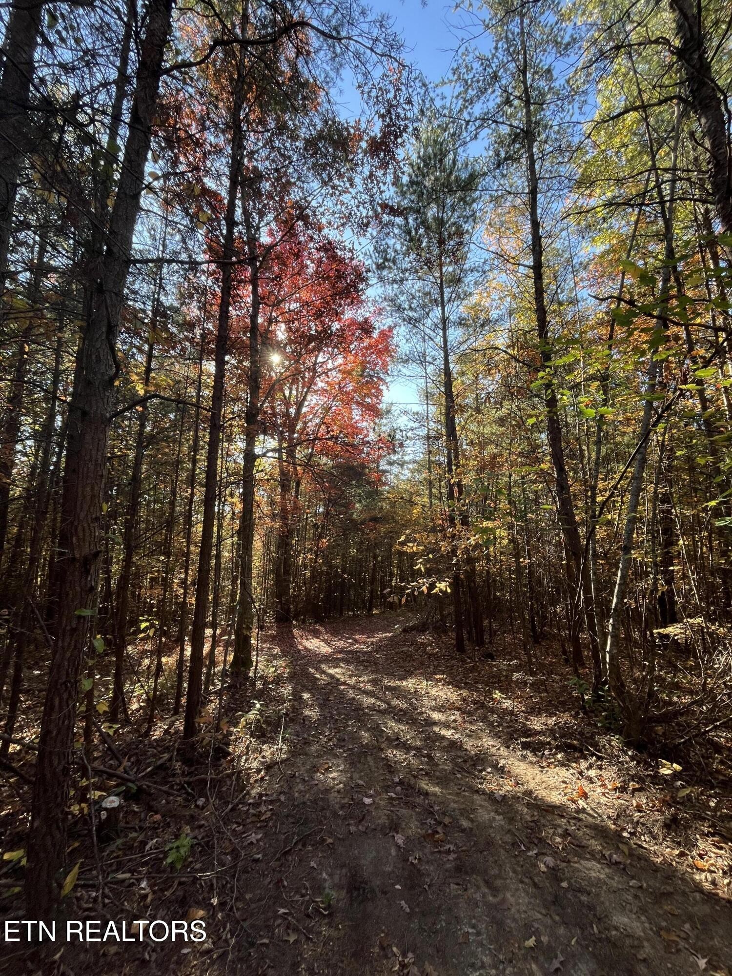 103 Cherokee Path Property Photo 21