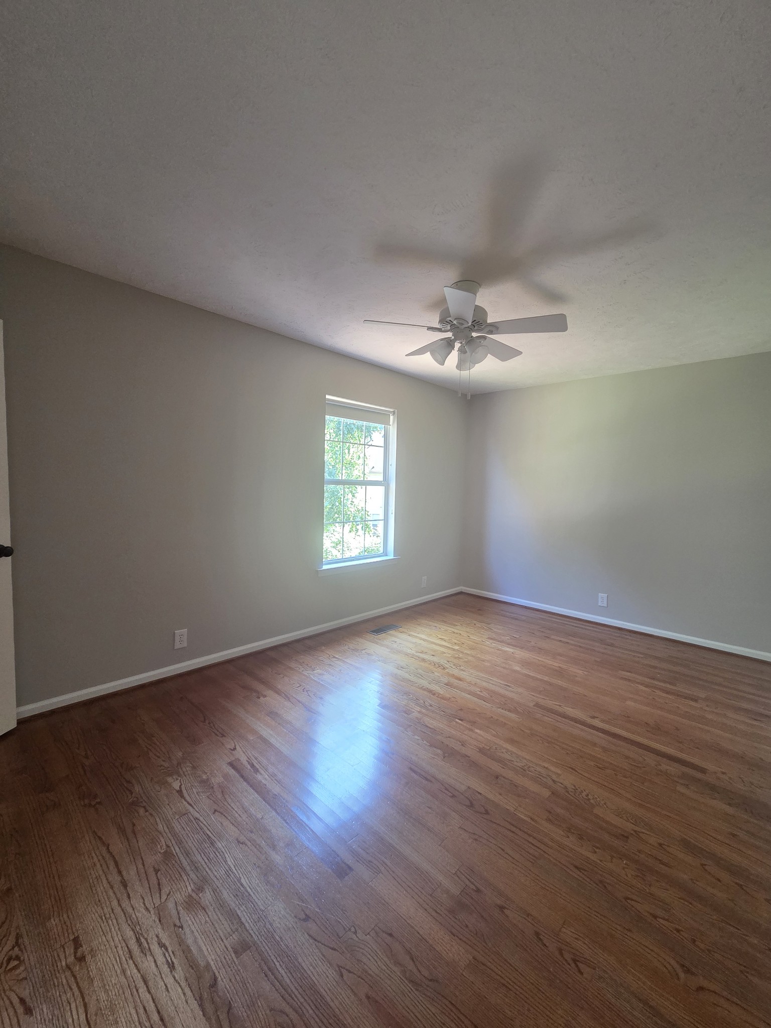 3704 Nate Cv Property Photo 21