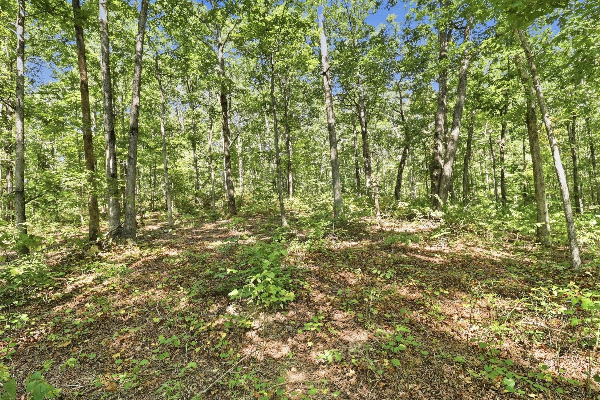 845 Ridgewood Drive Property Photo 1