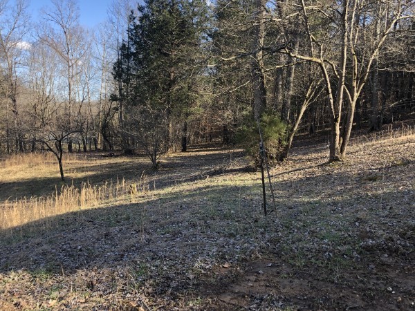 1455 Hillcrest Rd Property Photo 4