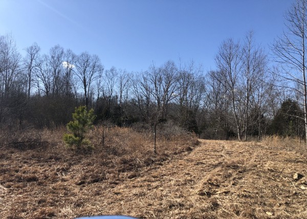 1455 Hillcrest Rd Property Photo 6