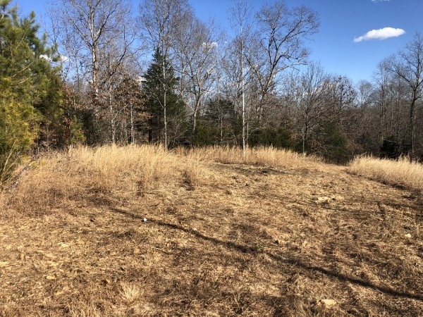 1455 Hillcrest Rd Property Photo 14