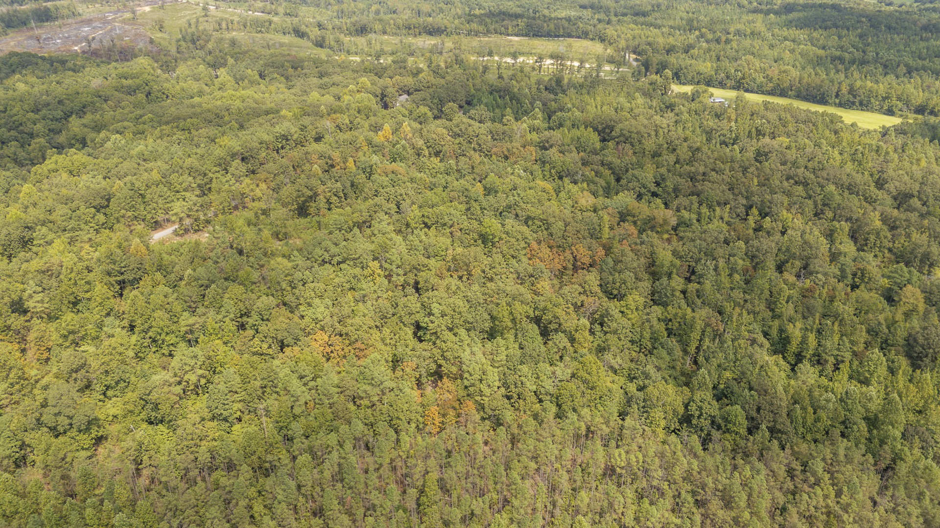 0 Terry Hair Rd Property Photo 6