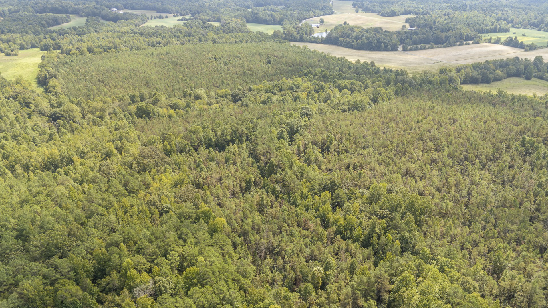 0 Terry Hair Rd Property Photo 8