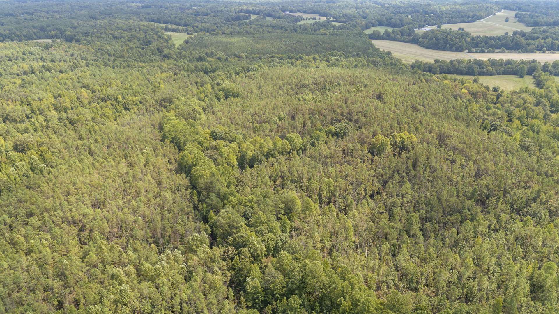 0 Terry Hair Rd Property Photo 13