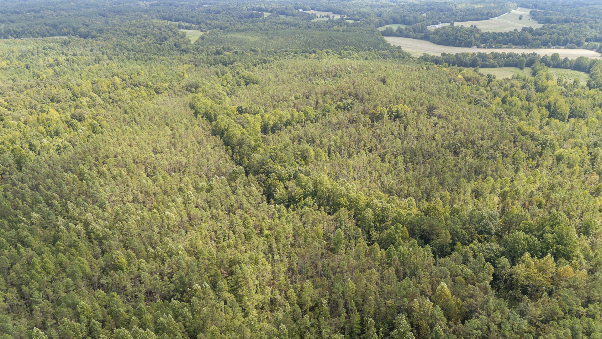 0 Terry Hair Rd Property Photo 15