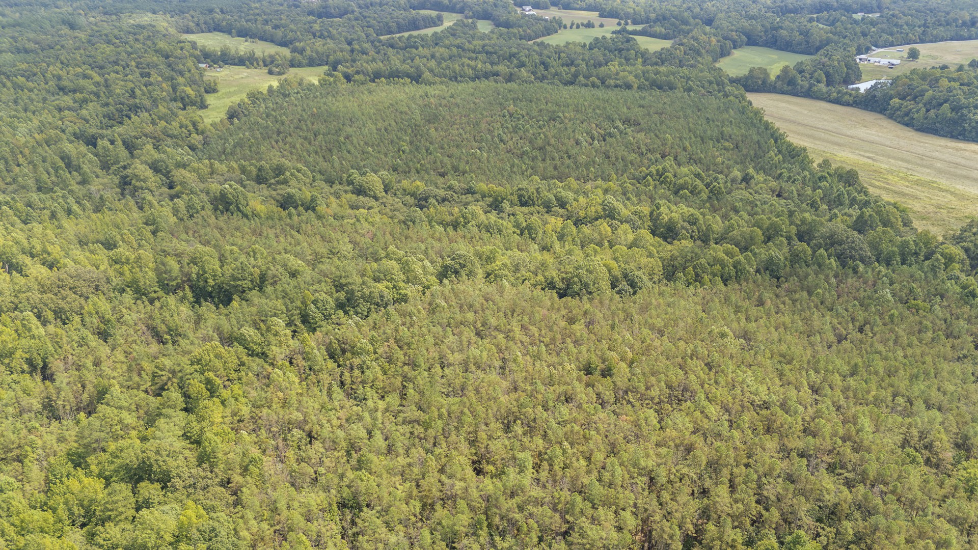0 Terry Hair Rd Property Photo 19