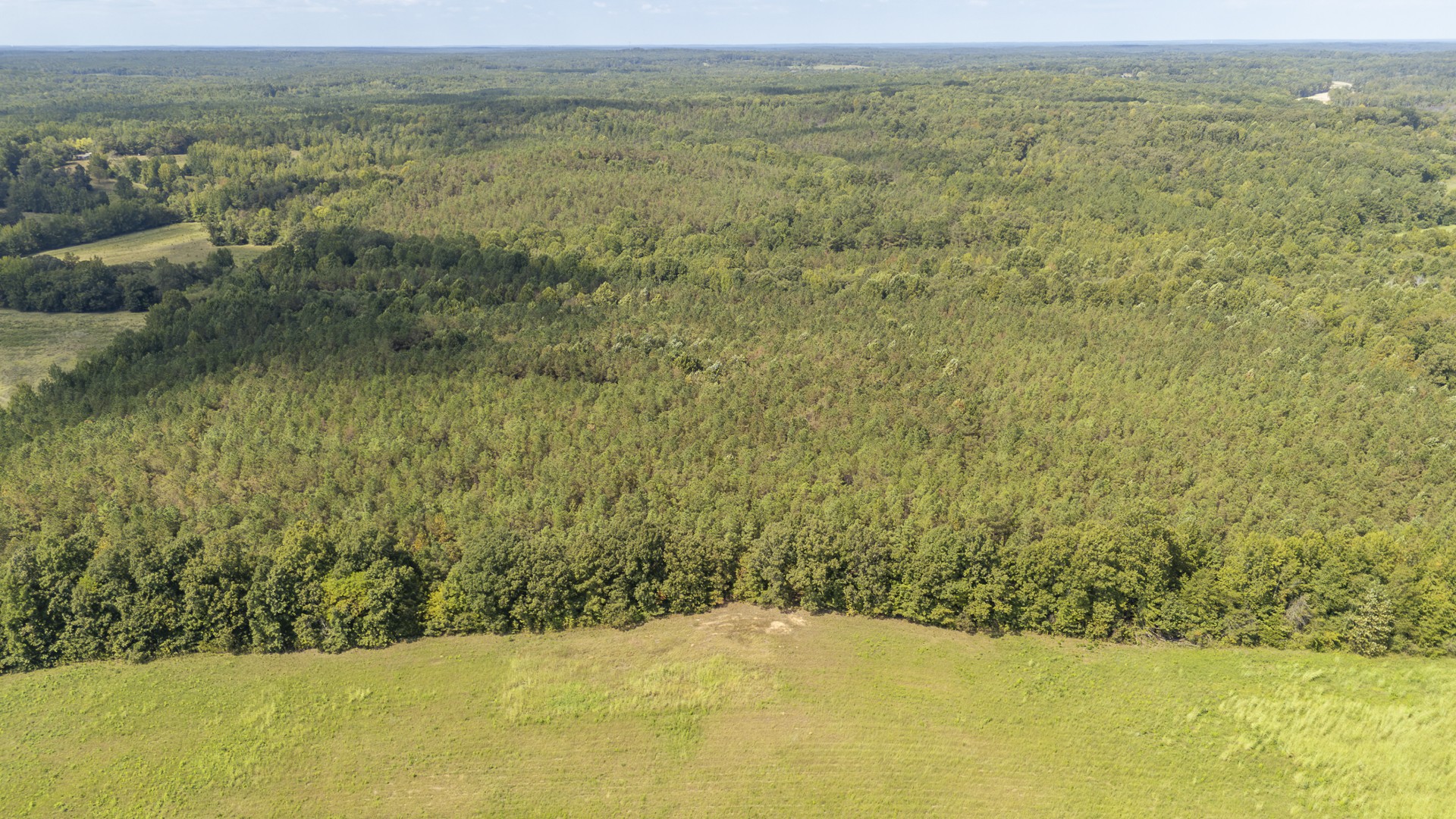 0 Terry Hair Rd Property Photo 38