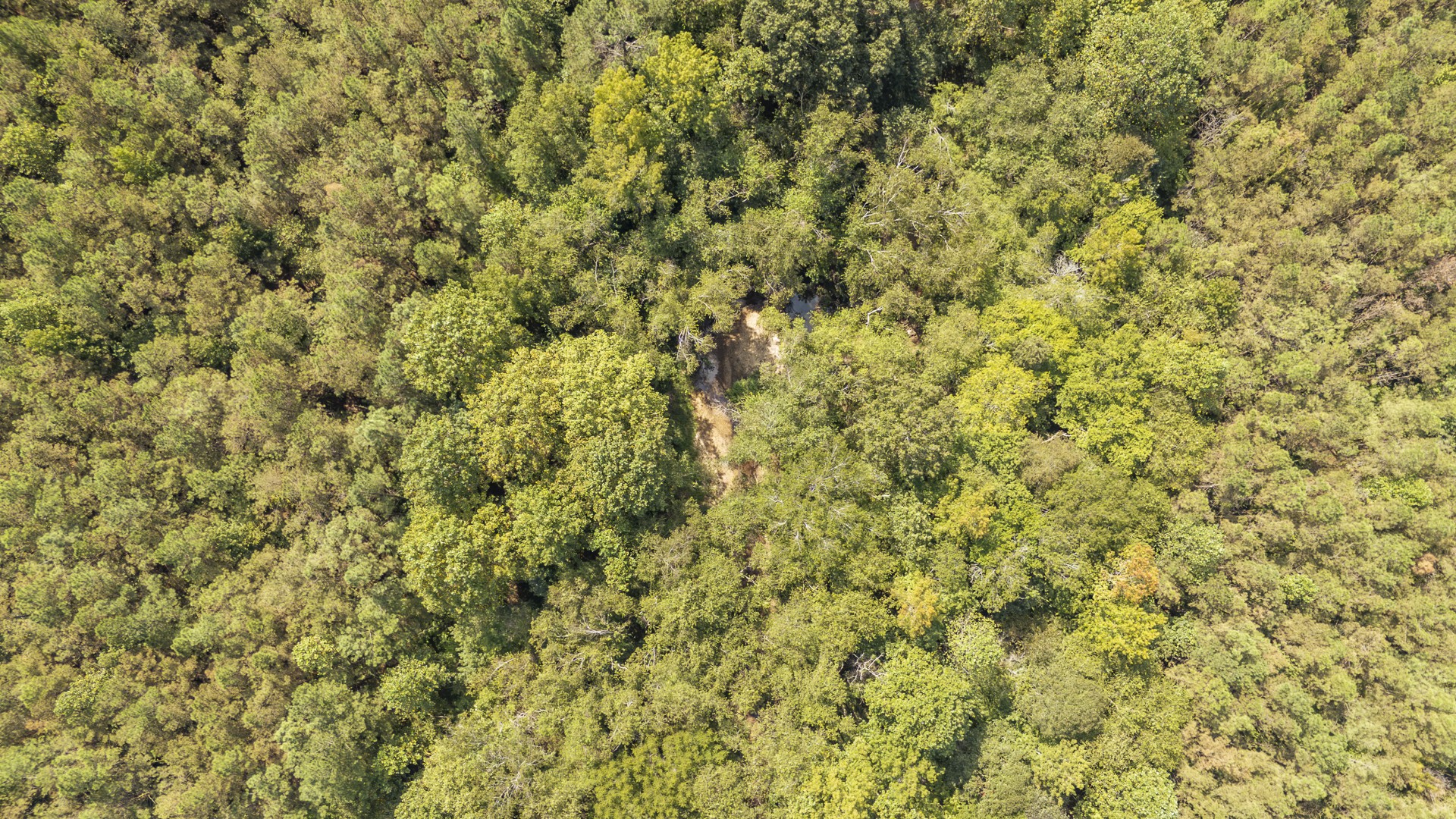 0 Terry Hair Rd Property Photo 41