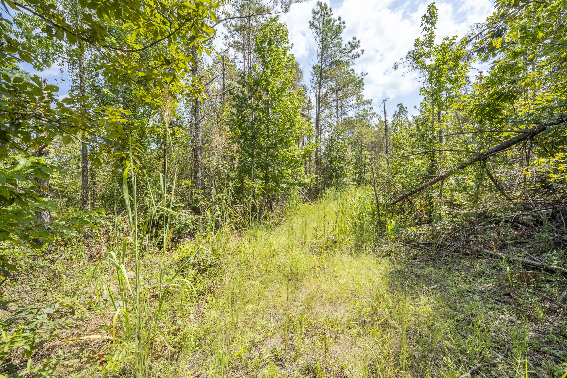 0 Terry Hair Rd Property Photo 44