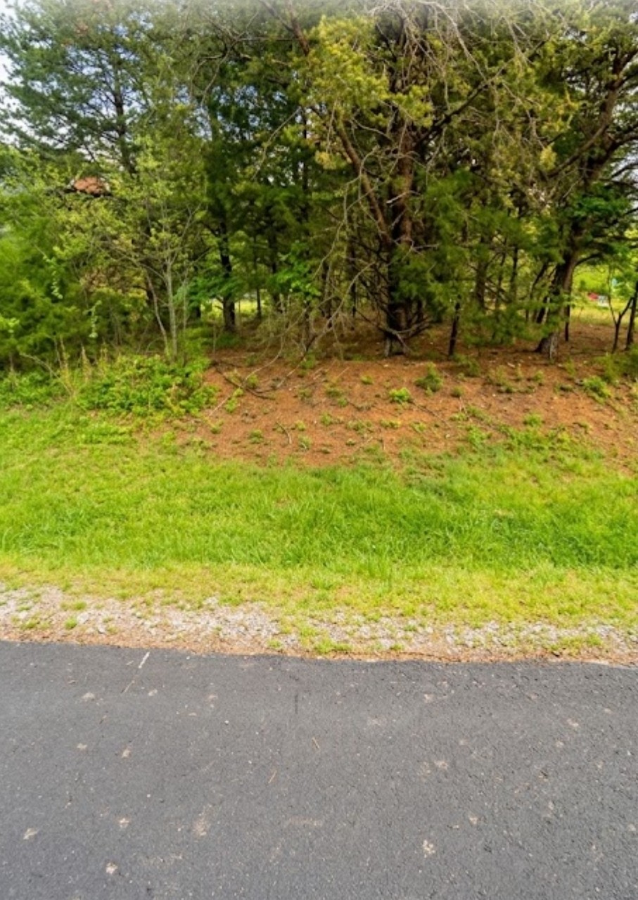 1 Gohi Trl Property Photo 3