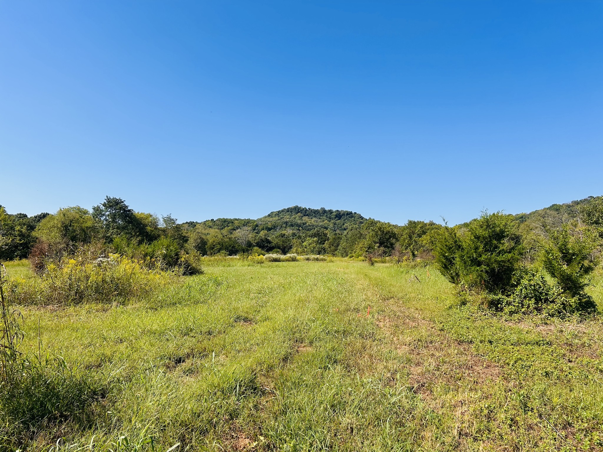 0 Bradyville Pike Property Photo 1