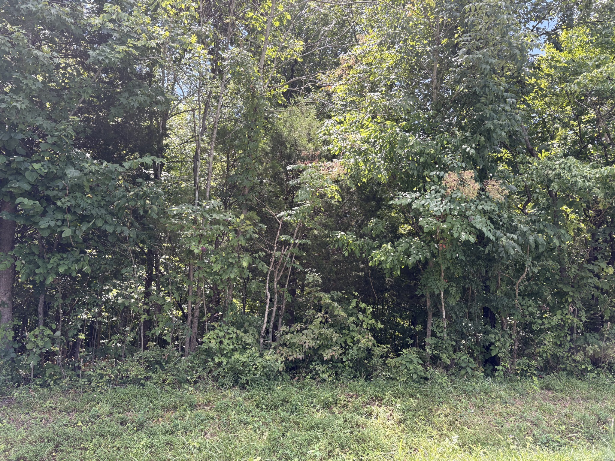 0 Southside Rd Property Photo 1