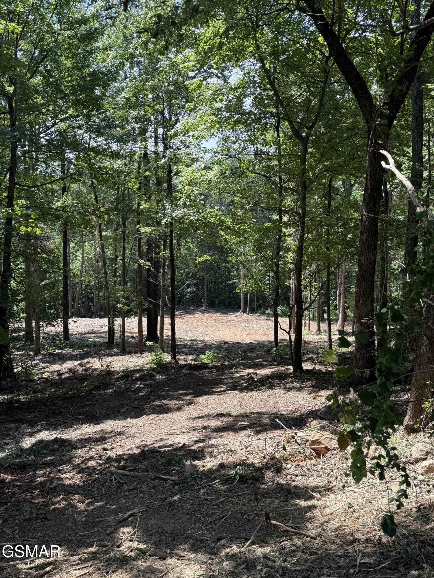 150 Mountaineer Trail Property Photo 1