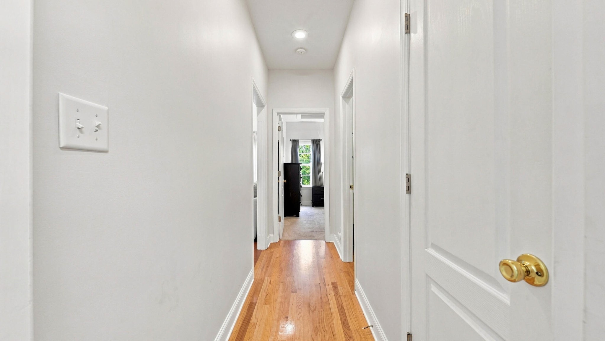 10558 Daffodil Circle Property Photo 17