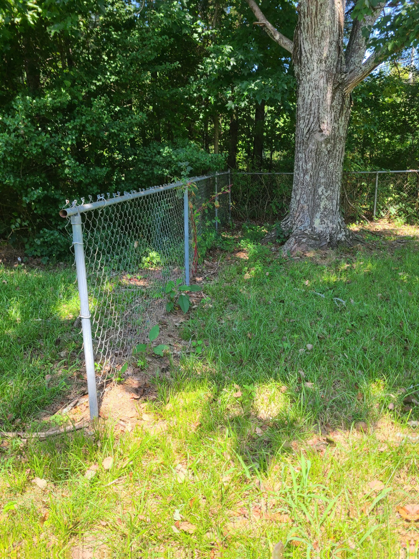 648 Hunt Road, Se Property Photo 28