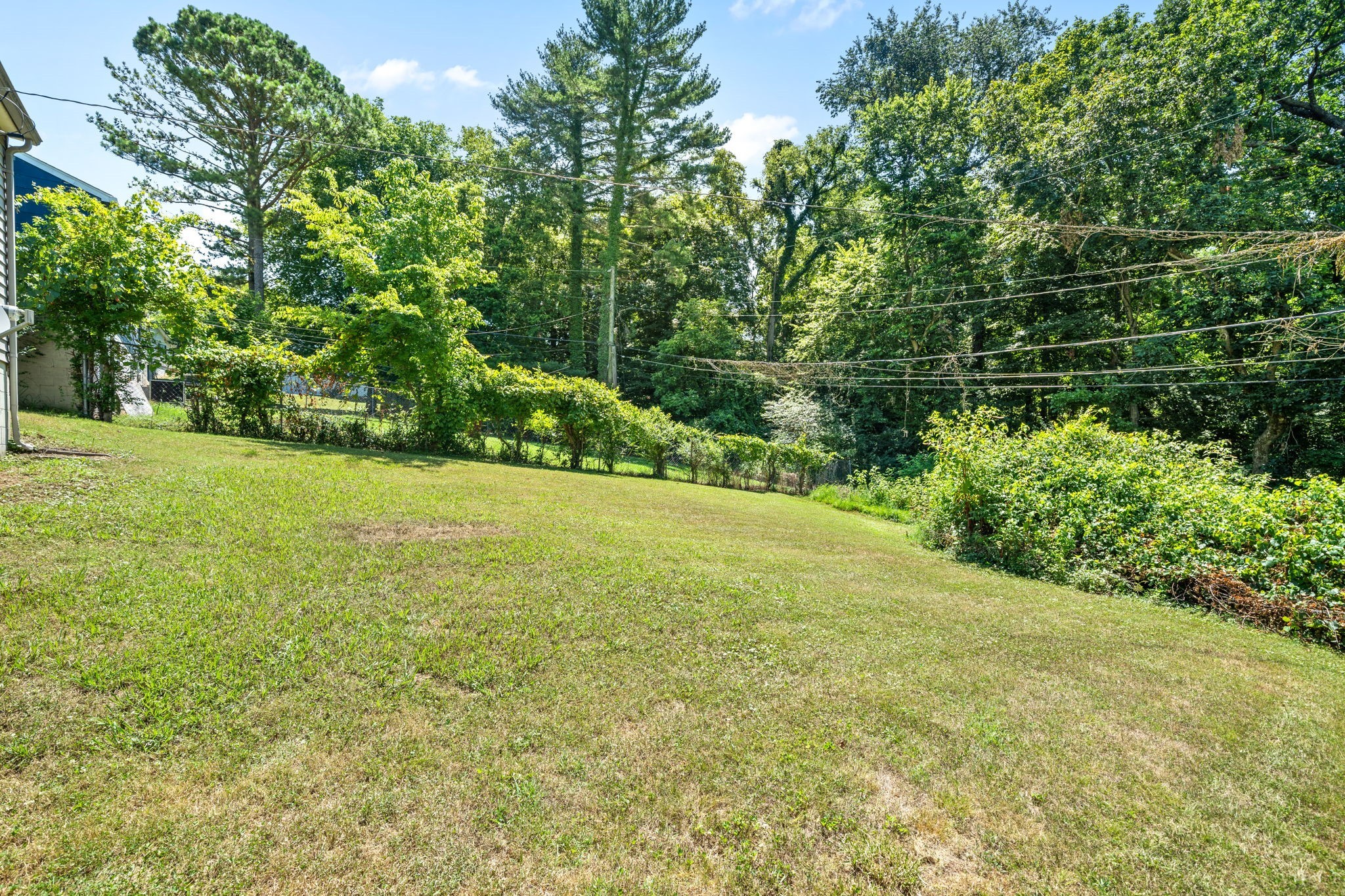 1011 Buck Dr Property Photo 24