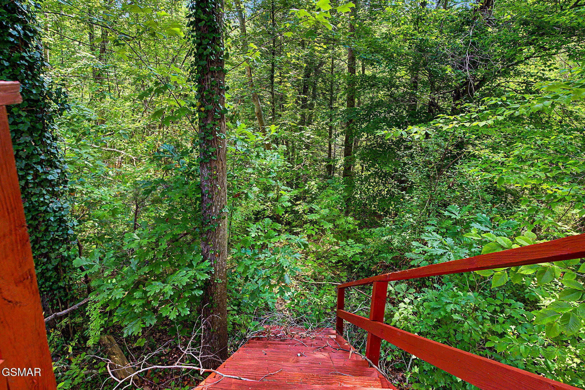 2136 Daisy Trail Property Photo 35