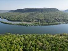 9852 Mullins Cove Rd Property Photo 13