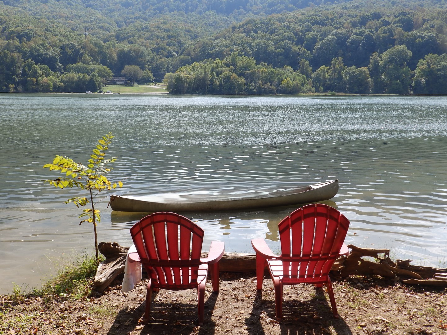 9852 Mullins Cove Rd Property Photo 35
