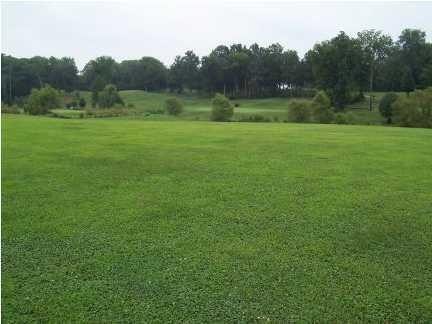 6 Spring Lake Drive Property Photo 13