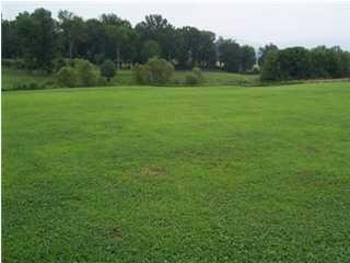 6 Spring Lake Drive Property Photo 14