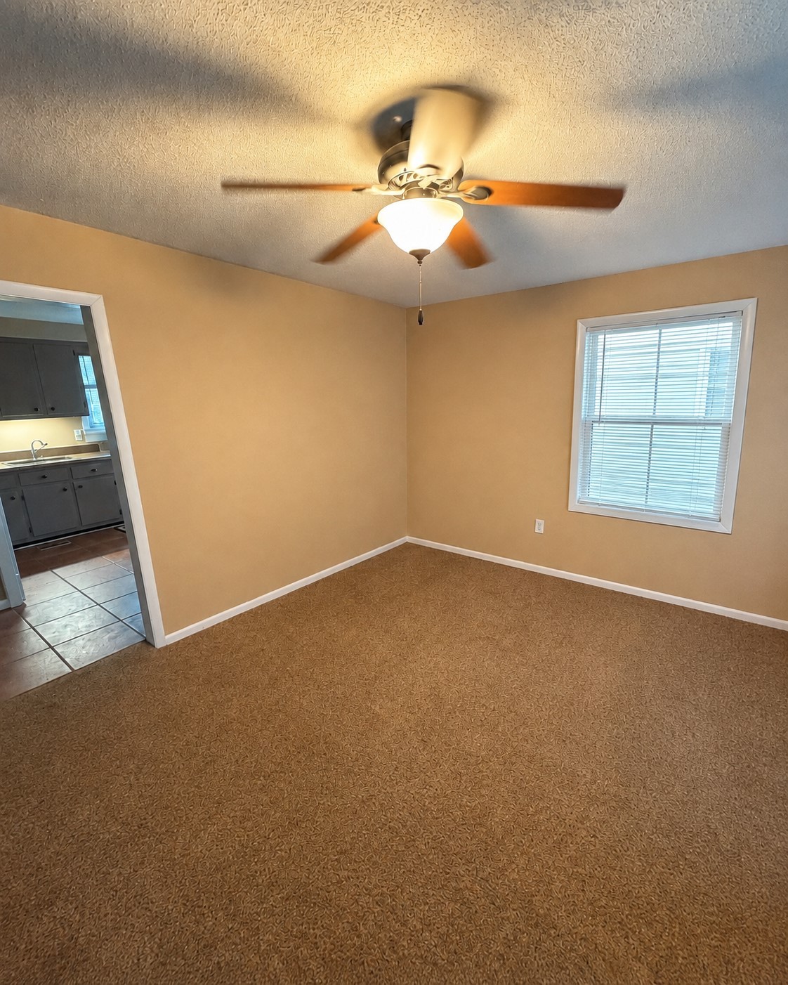 206 Paddock Rd Property Photo 2