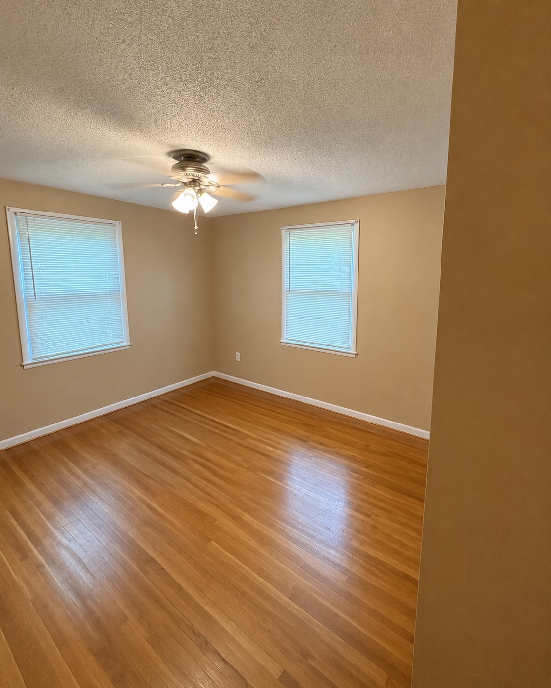 206 Paddock Rd Property Photo 9