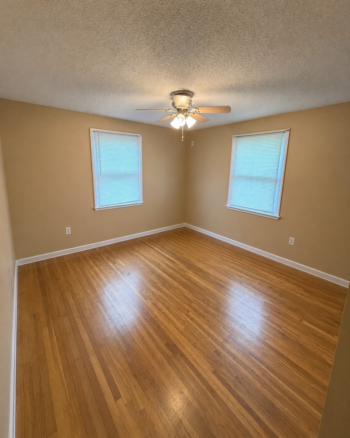206 Paddock Rd Property Photo 10