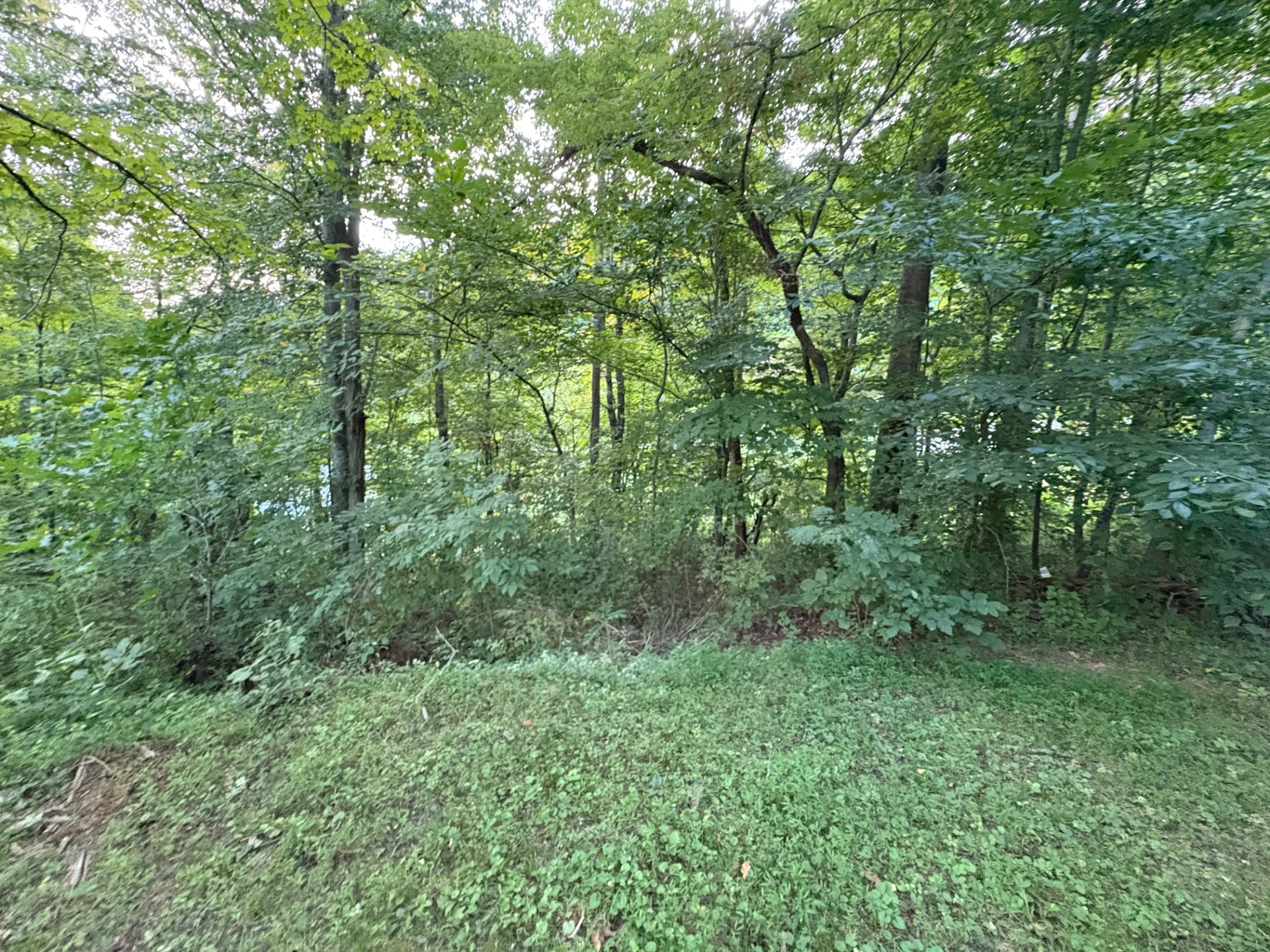 151 Big Springs Ln Property Photo 30