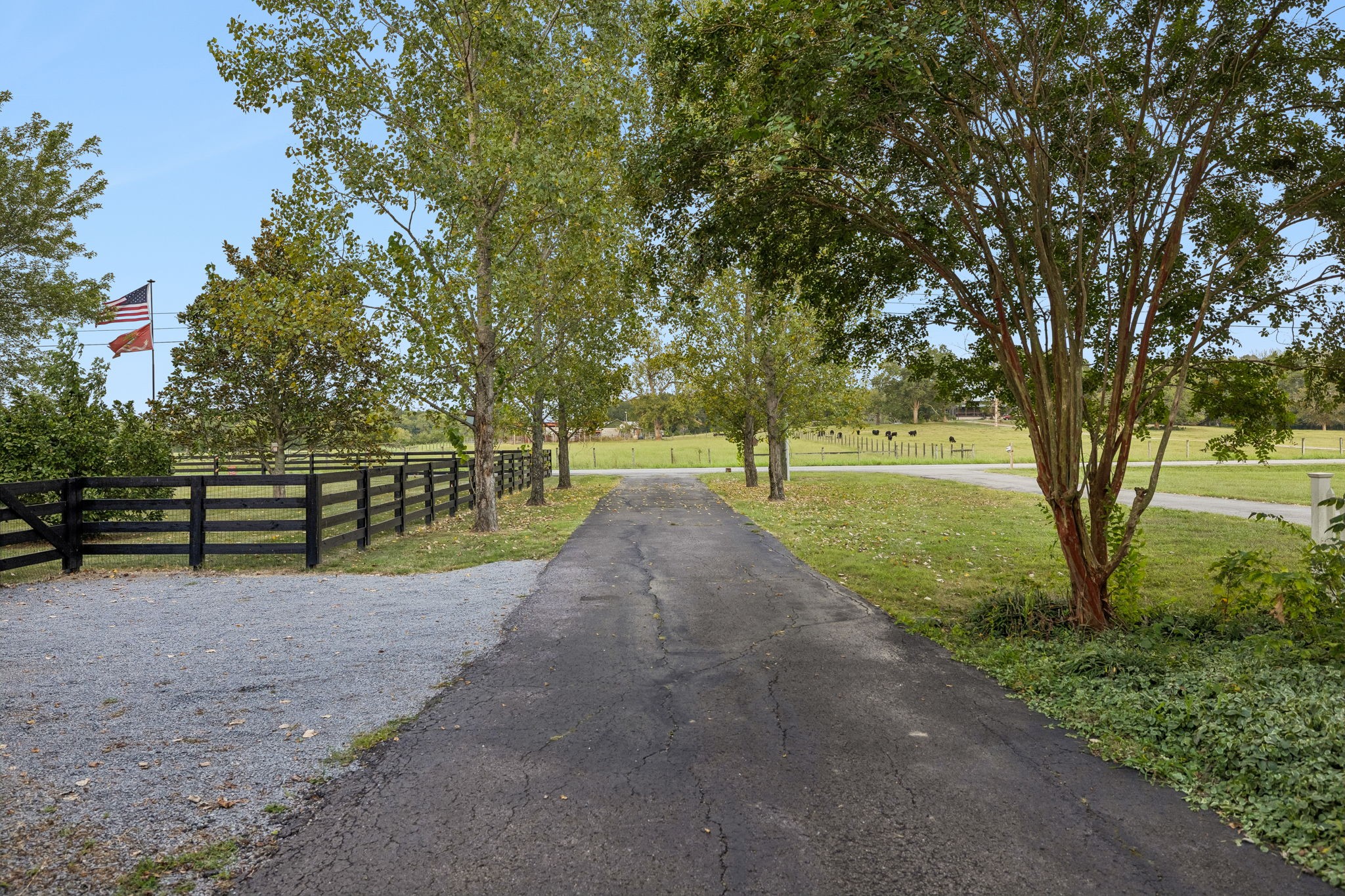 6353 Lampkins Bridge Rd Property Photo 56