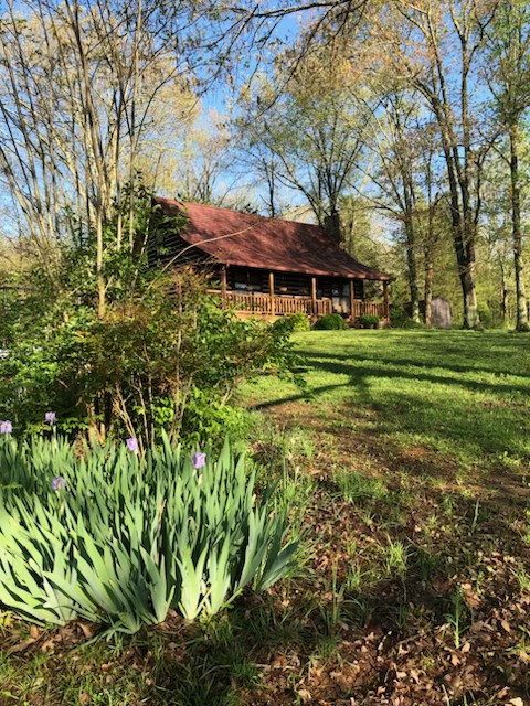 4379 Arno Rd Property Photo 1