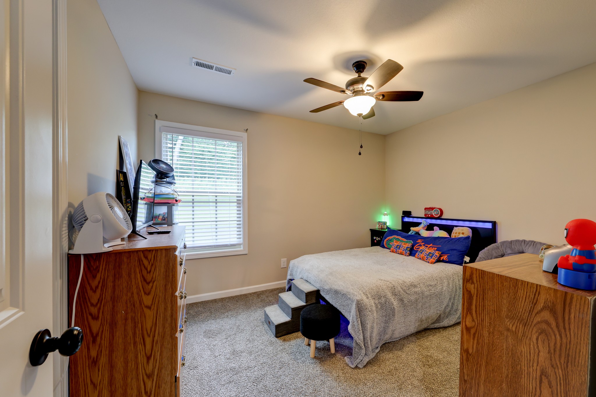 356 Barry Dr Property Photo 53
