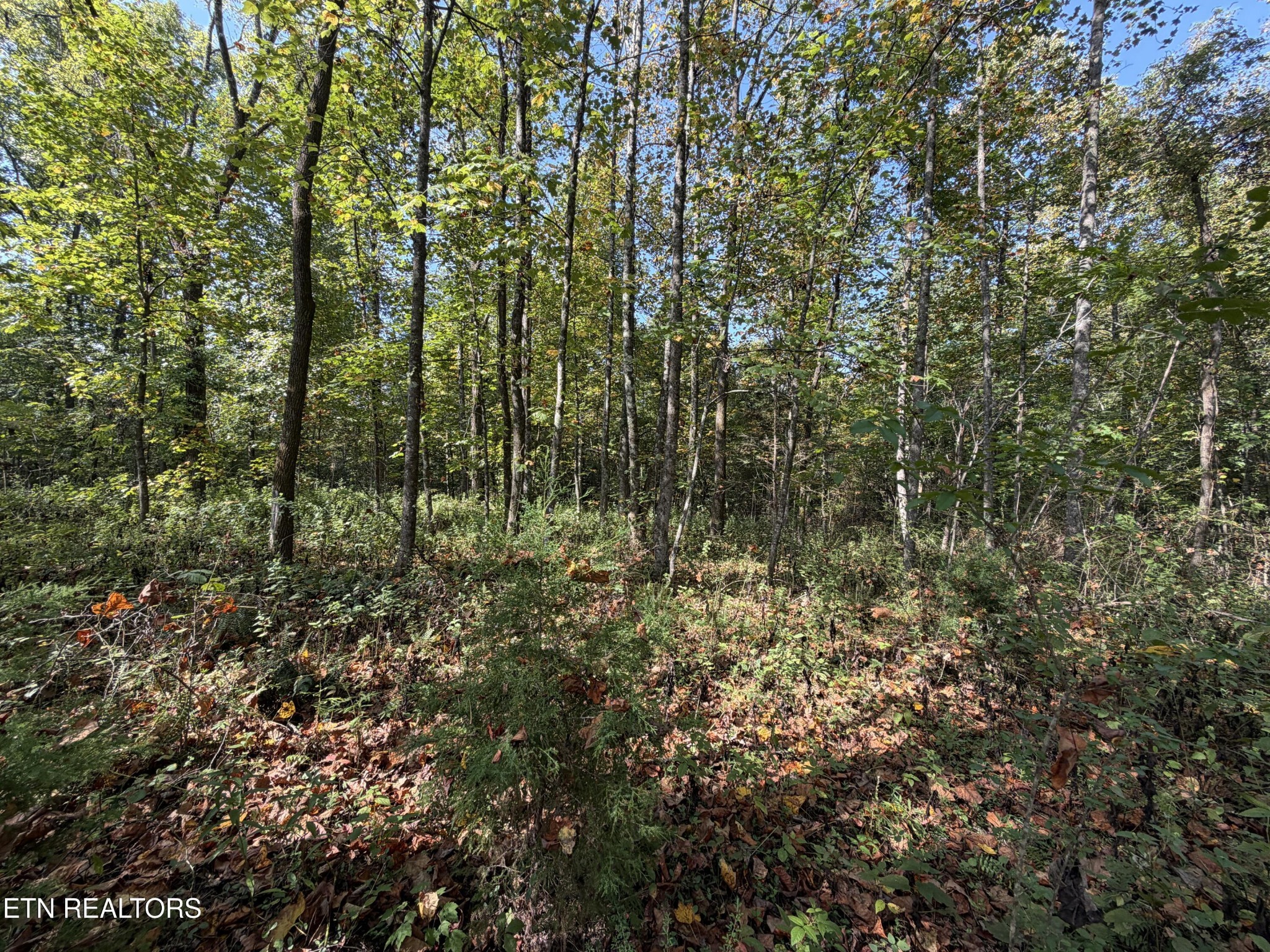 2235 Moore Knob Rd Property Photo 1