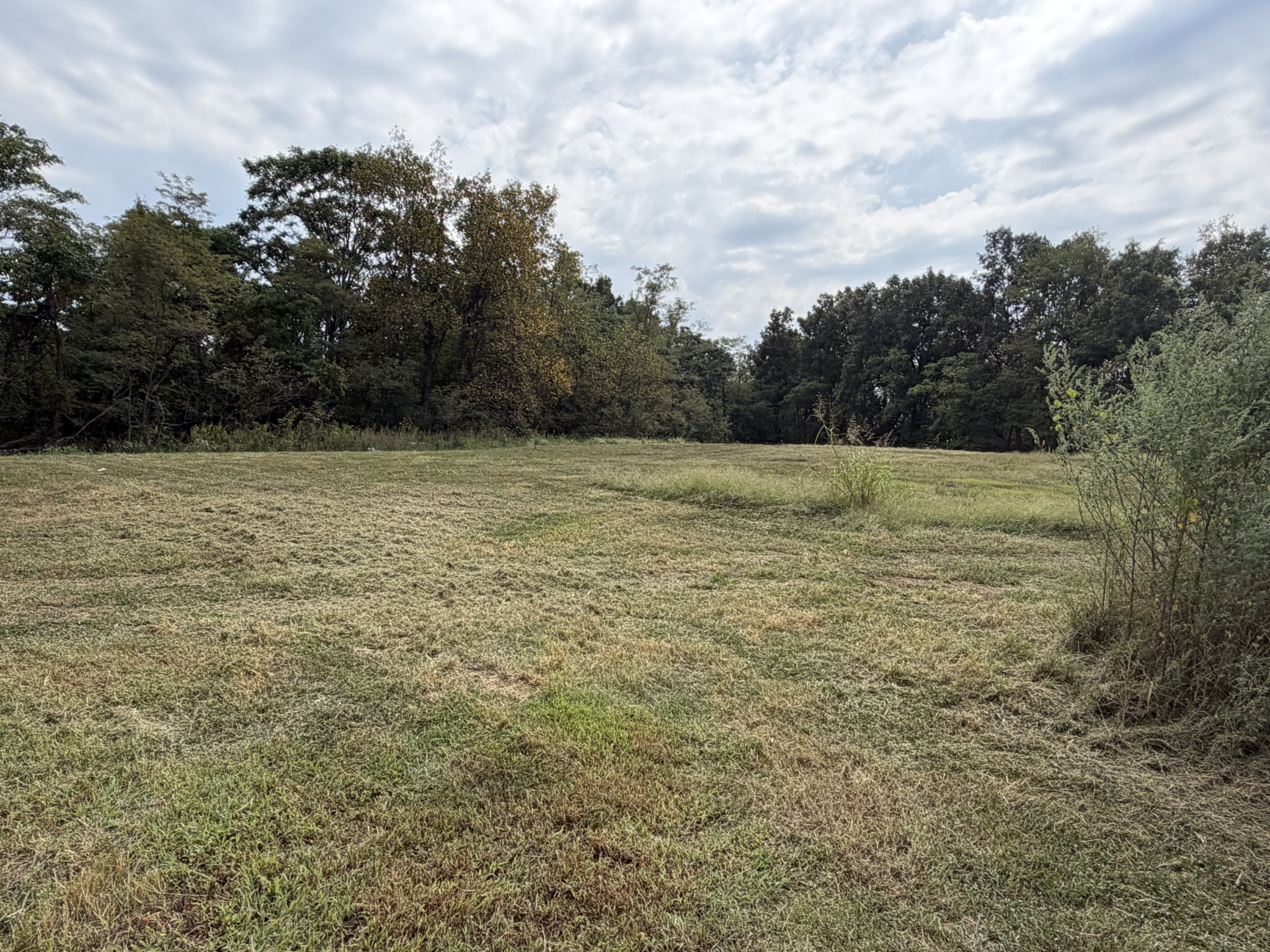 370 Magnolia Springs Way Property Photo 1
