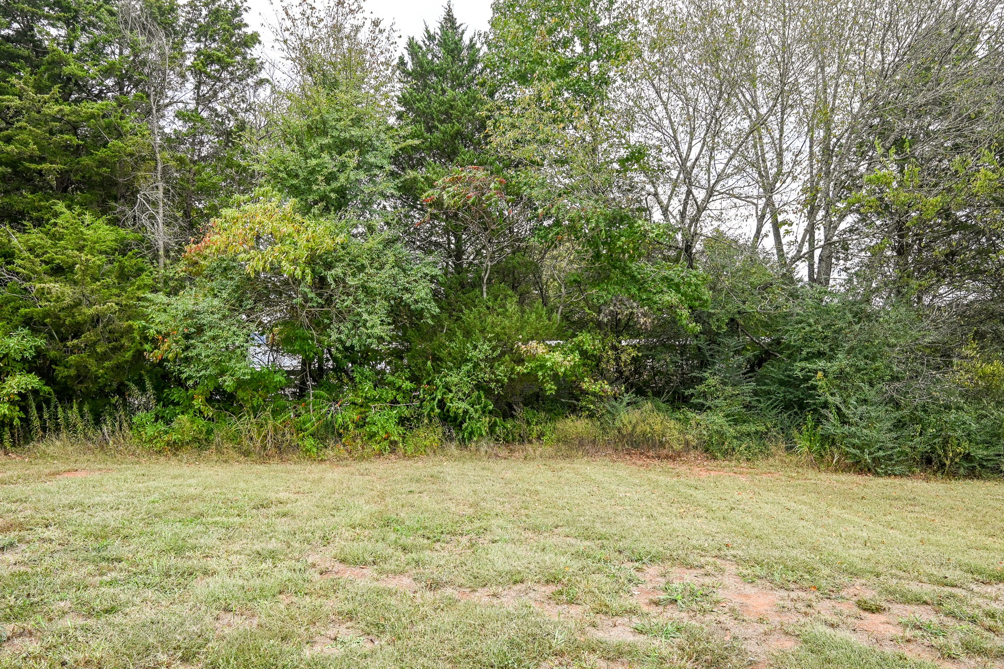 100 County Road 155 Property Photo 22